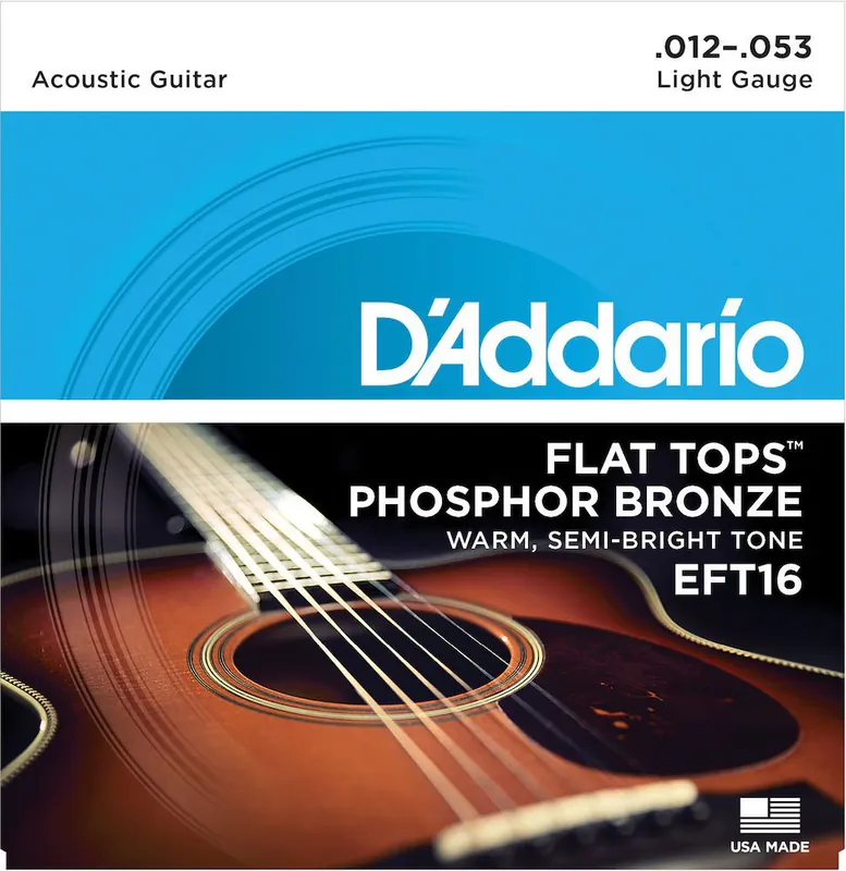 D'addario And Co EFT16 FLAT TOPS PHOSPHOR BRONZE ACOUSTIC GUITAR STRINGS LIGHT 12-53 Angebot