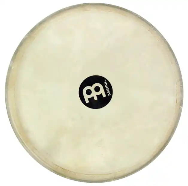 Meinl TSG01 HEAD Beliebt