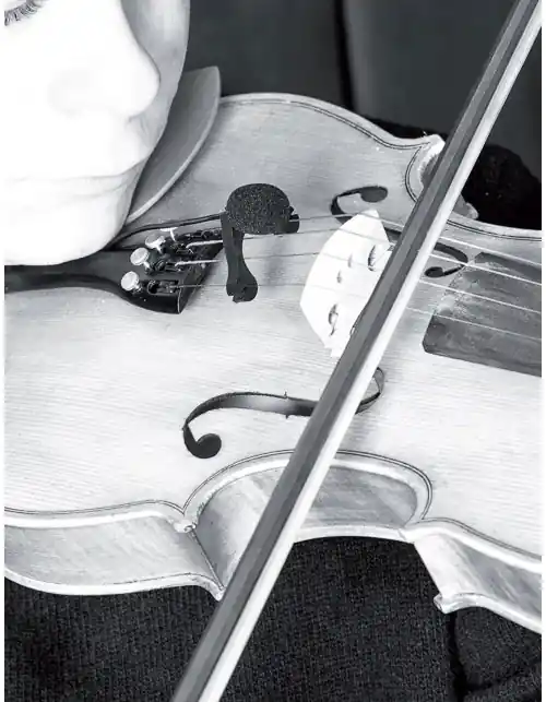 Prodipe VL21 LANEN VIOLIN - ALTO Markenware