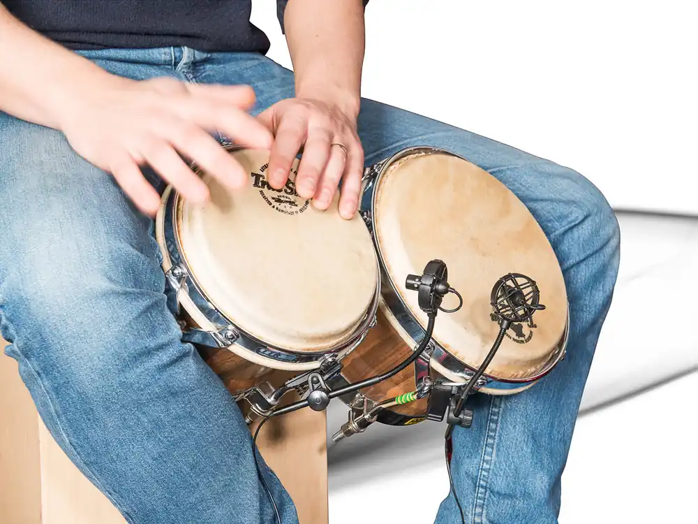 Prodipe PL21 SALMIERI PERCUSSIONS Mega-Angebot