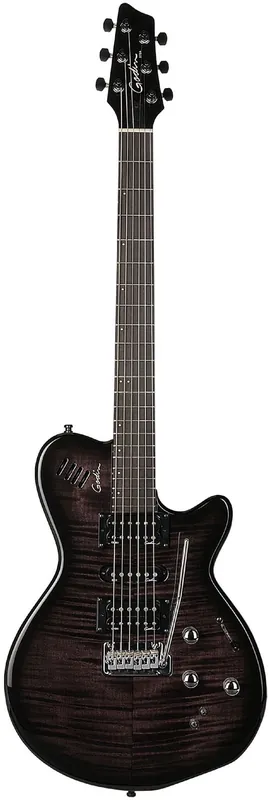 Highlight Godin Xtsa Leaftop Trans Black