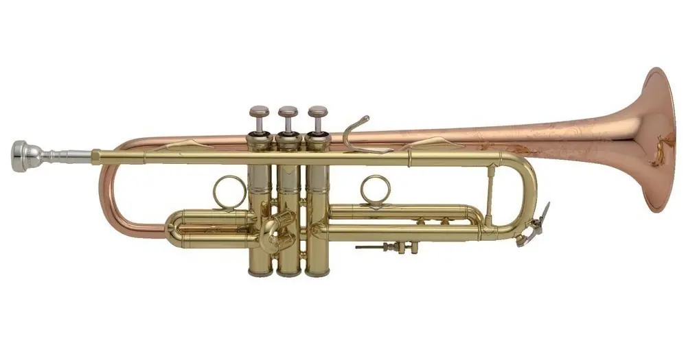 Bach LR190-43B - Bb STRADIVARIUS BRONZE BELL LACQUER REVERSE LEADPIPE Garantierte Lieferung