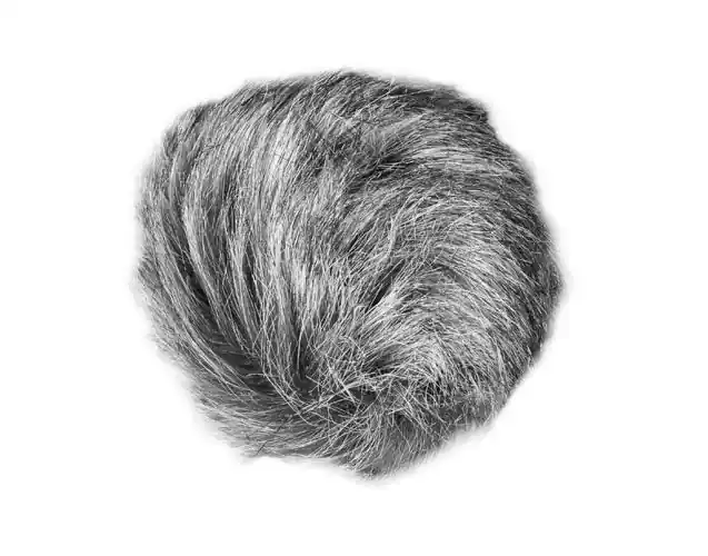 Zoom WSU-1 Must-Have