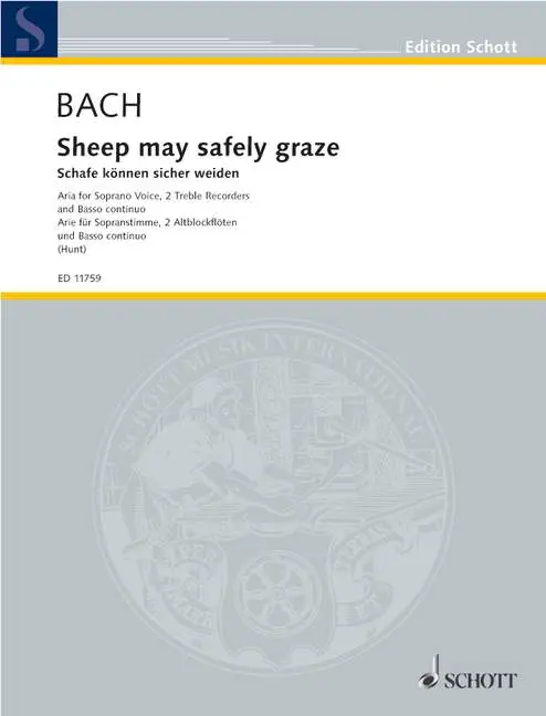 Sheep may safely graze RV1 Saisonangebot