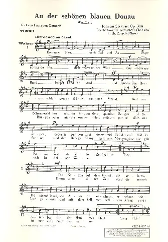 An der schönen blauen Donau op.314 Markenprodukt