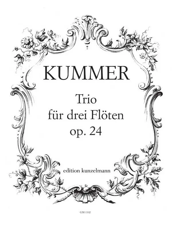 Nur Für Kurze Zeit Trio op,24