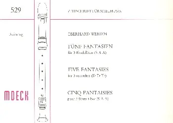 Bestpreis 5 Fantasien