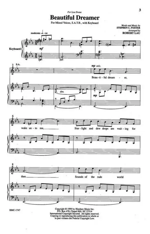 Beautiful Dreamer Top-Seller