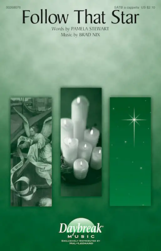 Pamela Stewart_Brad Nix, Follow That Star Neue Ware