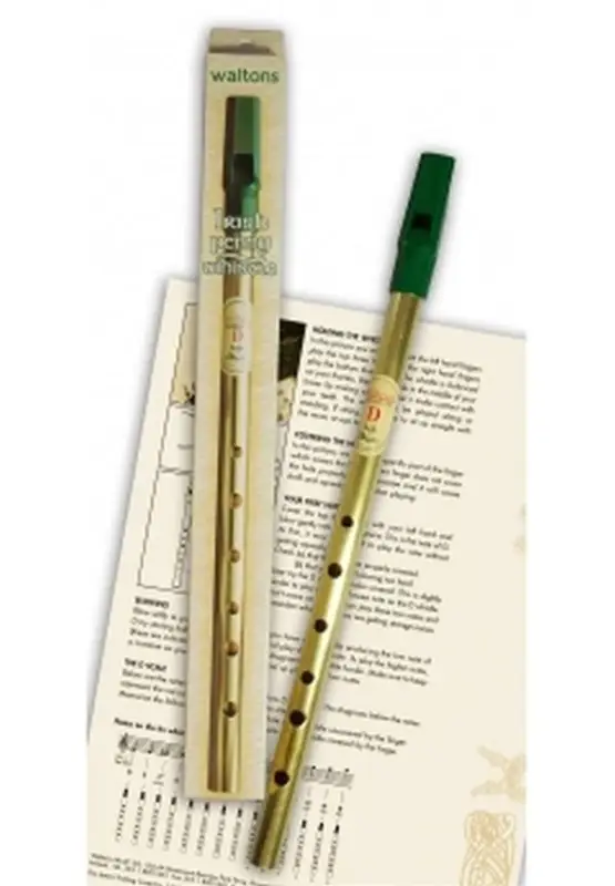 Geprüft Irish Pennywhistle D