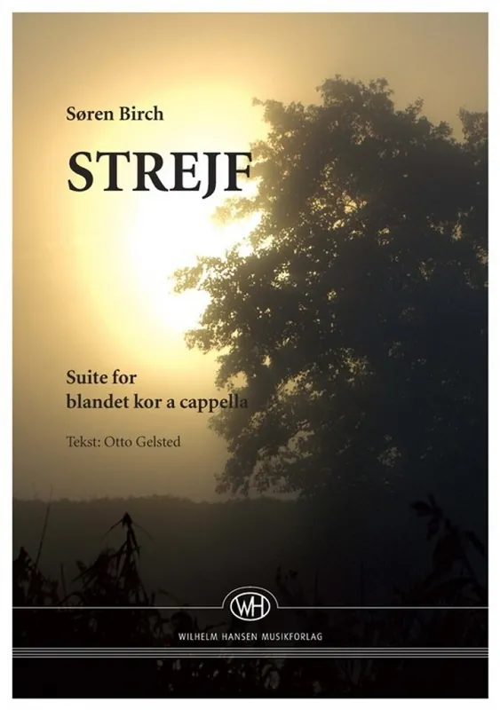 Soren Birch, Strejf Kracherpreis